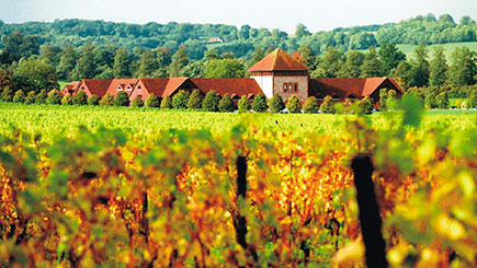 Denbies